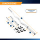 Standard Curl Bar & Dumbbell Handle Set  Marcy SDC-10.1 - Dimensions - Infographic