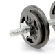 The Iron 40 Lb. Adjustable Dumbbell Set includes spin lock collars to secure standard plates
